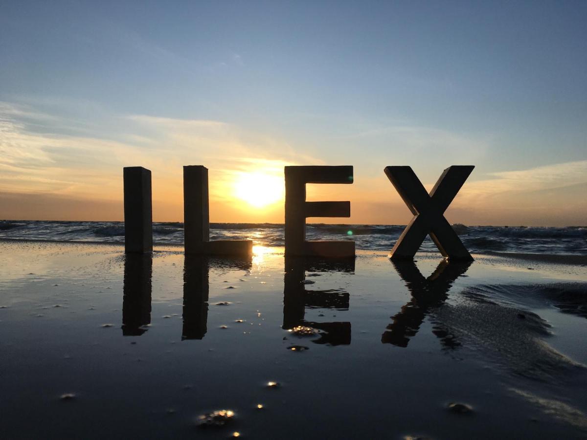 Ilex Appartements Born Dış mekan fotoğraf